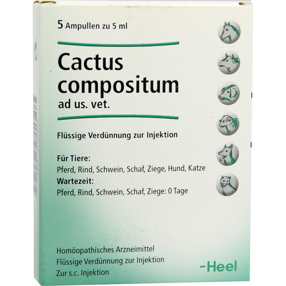 CACTUS COMPOSITUM ad us.vet.Ampullen